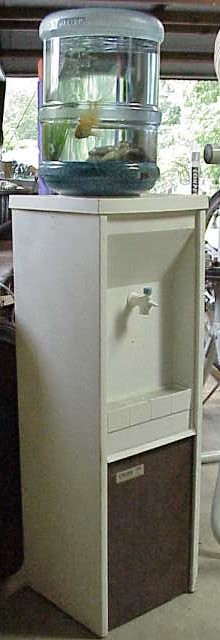 Water Cooler Fish Tank