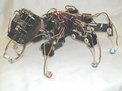 robot ant