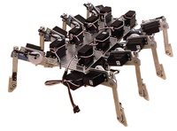 Spider robot